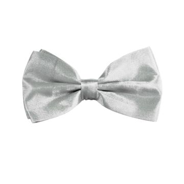Butterfly zilver