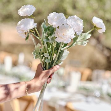 Ranunkel Bloemen Wit 3x